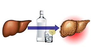 os efeitos do álcool no fígado