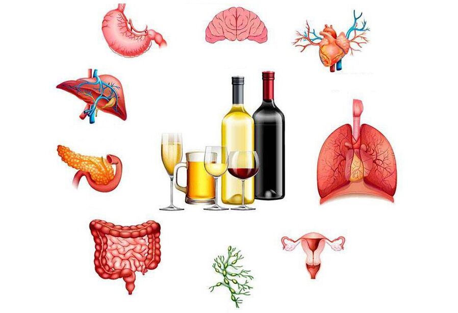 o efeito do álcool no corpo